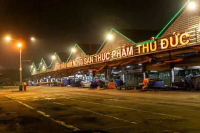 gia hanh toi tai cho dau moi thu duc hom nay   cap nhat thi truong moi nhat 2025