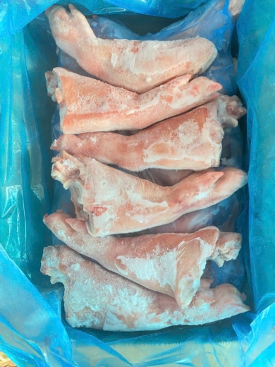 gio heo dong lanh   huong dan lua chon va bao quan chuan nhat 2025