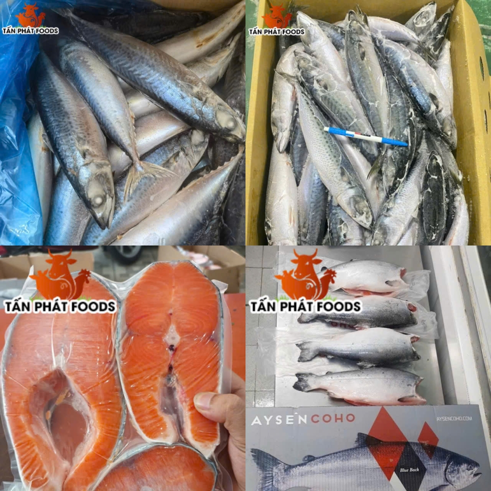 tan phat  ?? nha phan phoi thuc pham dong lanh nhap khau uy tin tai tp hcm