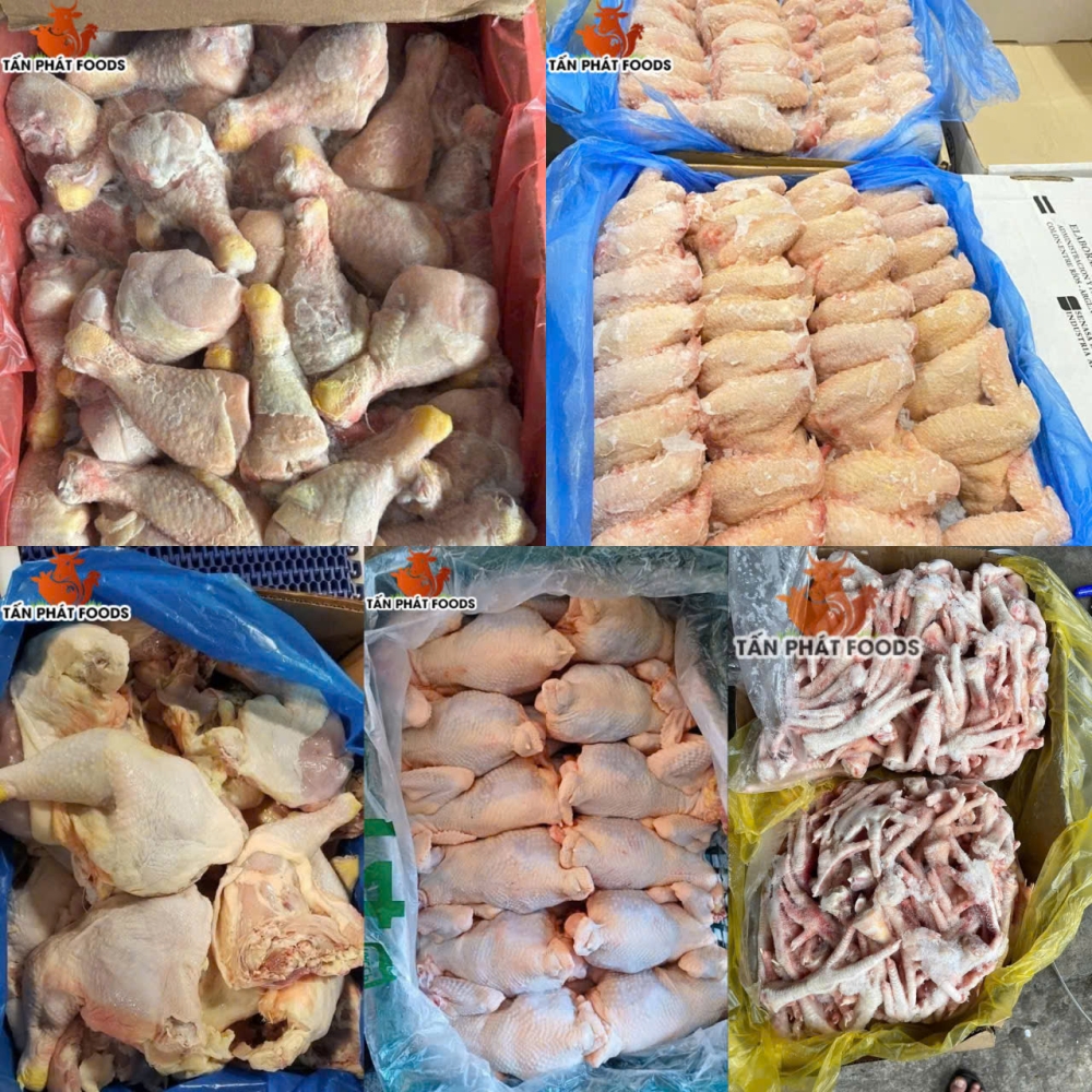tan phat  ?? nha phan phoi thuc pham dong lanh nhap khau uy tin tai tp hcm