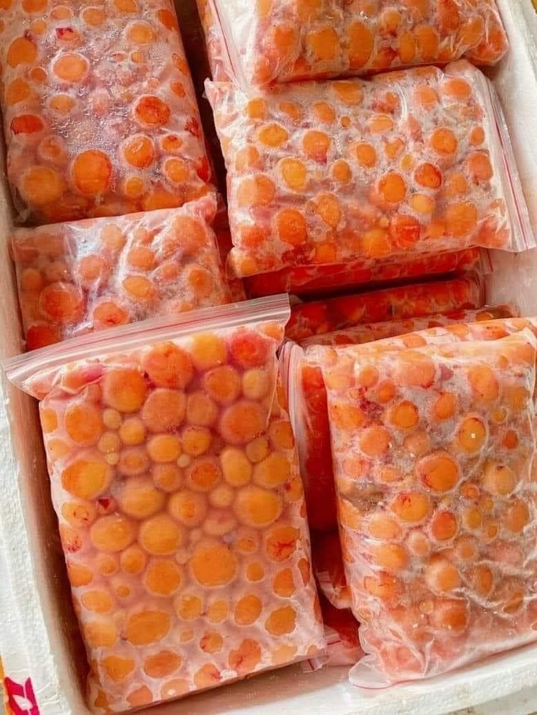 Trứng Gà Non Đông Lạnh