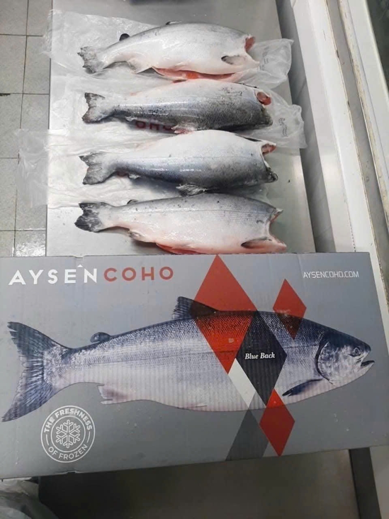 Cá Hồi Nguyên Con Nauy