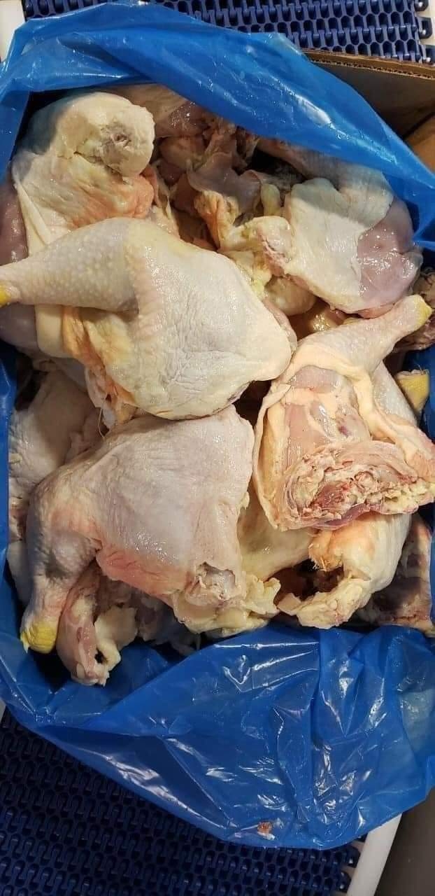 Đùi Góc Tư Pilgrim