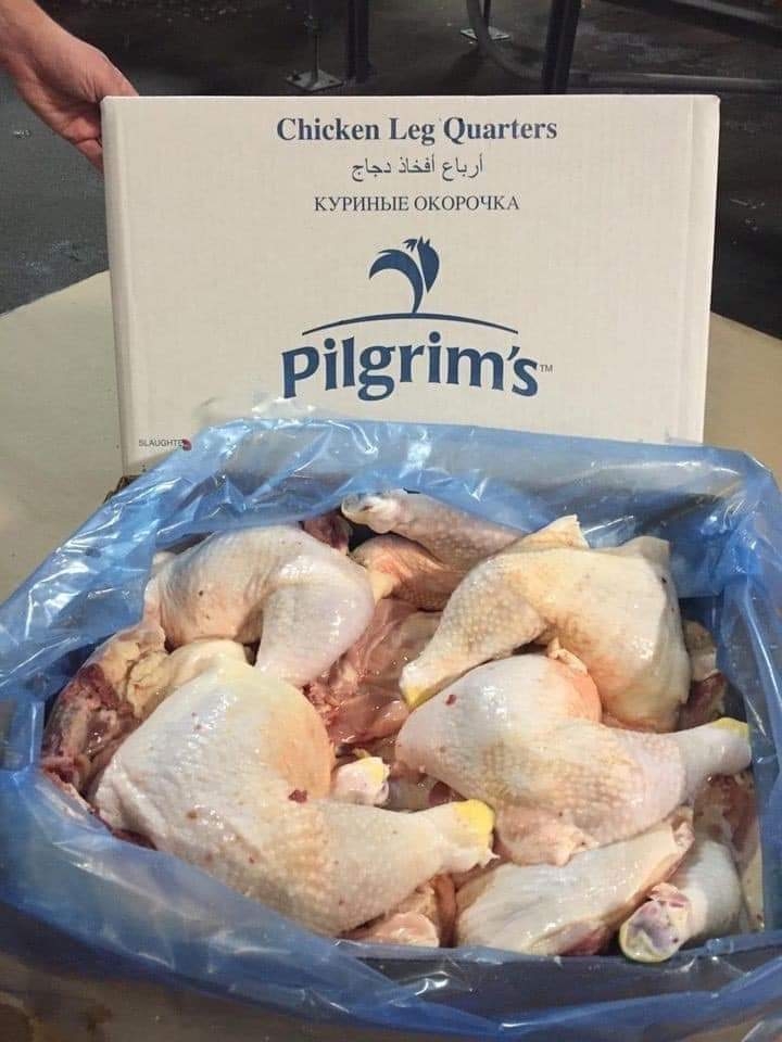 Đùi Góc Tư Pilgrim