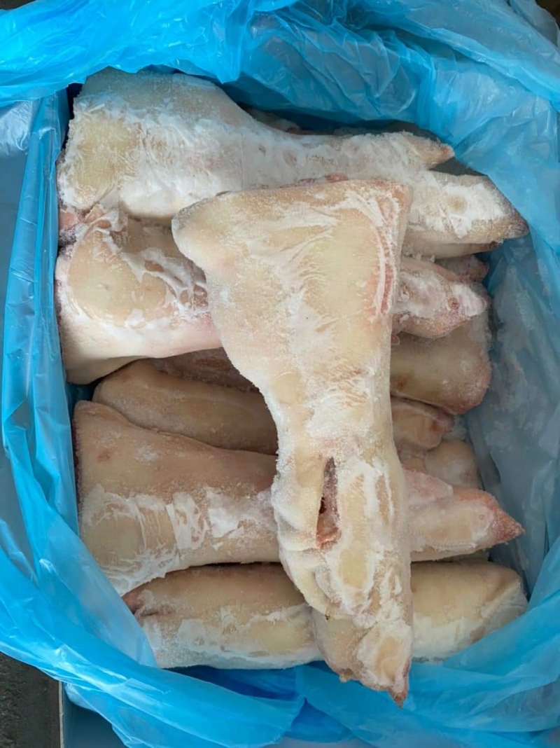 Dựng Sau Miratog