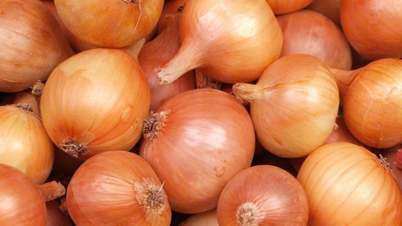 Hành Tây Nhập Khẩu