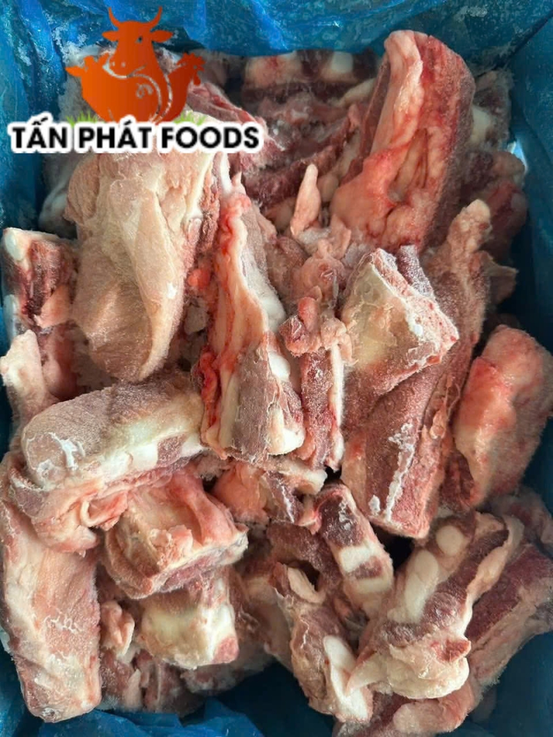 SƯỜN SỤN ỨC LITERA