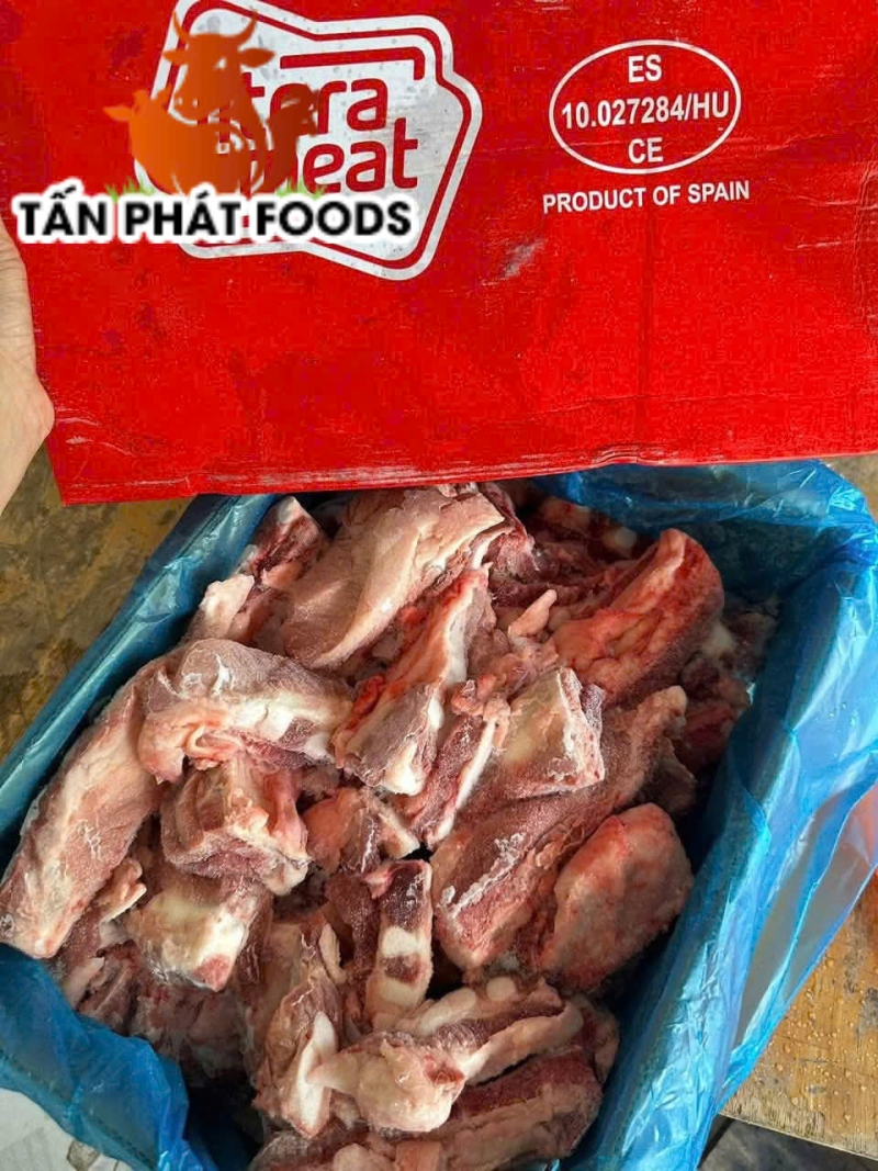 SƯỜN SỤN ỨC LITERA