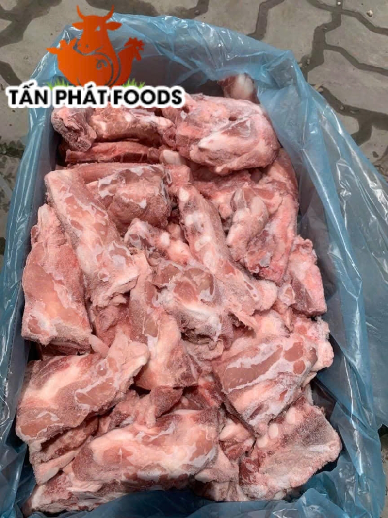 SƯỜN SỤN ỨC LITERA