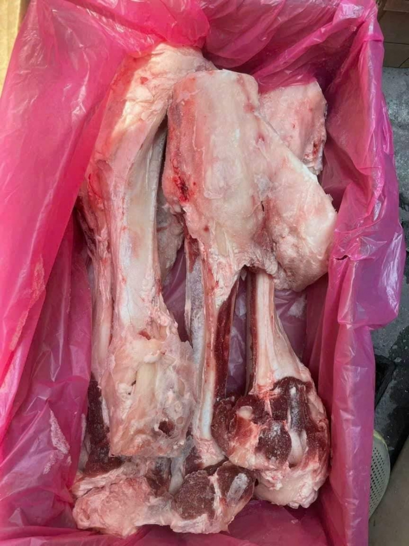 Xương Ống Bò Úc