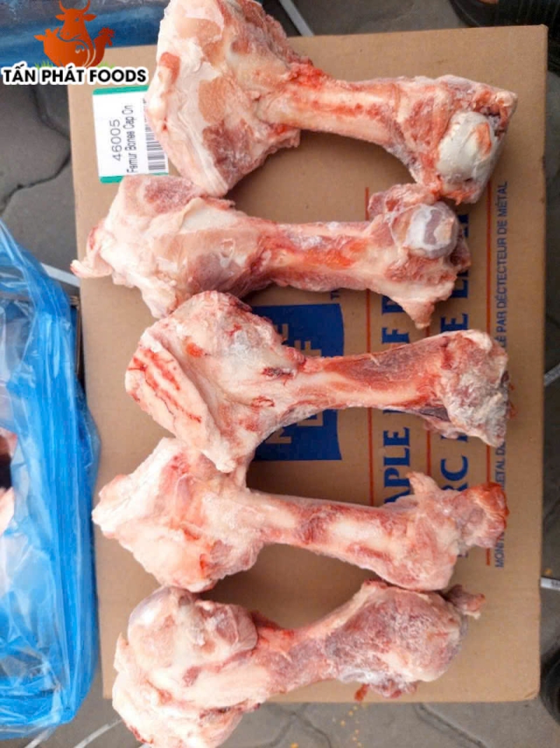 XƯƠNG ỐNG HEO MAPLE